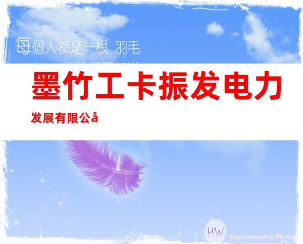 墨竹工卡振发电力发展有限公司